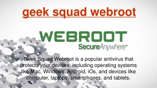 geek squad webroot