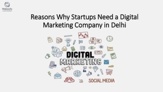 Reasons Why Startups Need A Digital Marketing Company In Delhi