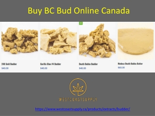 Buy BC Bud Online Canada