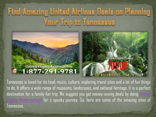 Find Amazing United Airlines Deals on Planning Your Trip to Tennessee