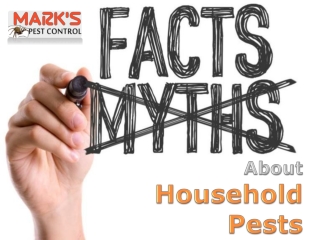 Myths and Facts About Household Pests