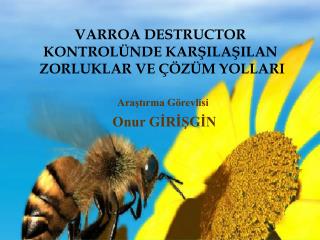 Araştırma Görevlisi Onur GİRİŞGİN