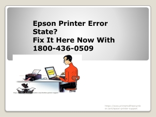 Epson Printer Error State? Fix It Here Now With 1800-436-0509