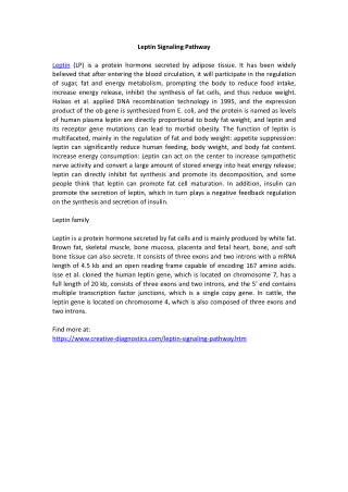 Leptin Signaling Pathway