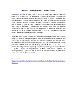Monocyte Chemotactic Protein-1 Signaling Pathway