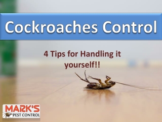 Cockroaches Control Tips