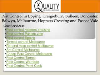 Pest control Epping