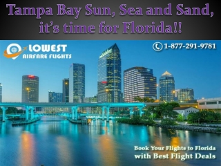 Tampa BaySun, Sea and Sand, it’s time for Florida!!