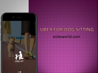 Uber For Dog Sitting App