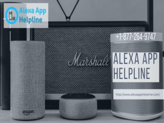 Alexa Troubleshooting & Setup Help Call & Skip the Wait Now