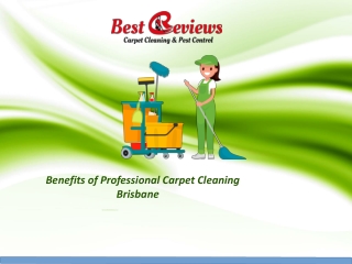 Benefits of Professional Carpet Cleaning Services Brisbane