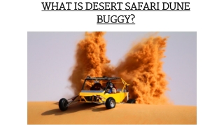 WHAT IS DESERT SAFARI DUNE BUGGY?