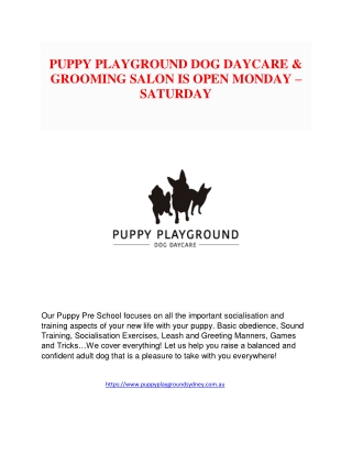 Dog boarding sydney - Puppy Play Ground