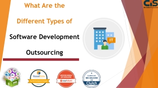 What Are the Different Types of Software Development Outsourcing?