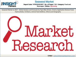 Seaweed Market Insight 2019
