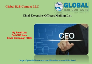 Chief Executive Officers Mailing List