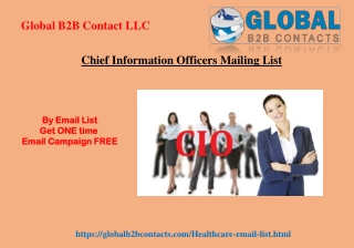 Chief Information Officers Mailing List