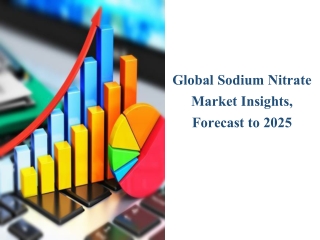 Current Information About Sodium Nitrate Market Report 2019