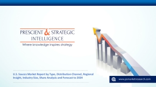 U.S. Sauces Market Outlook, Business Report,2024