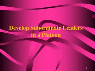 Develop Subordinate Leaders in a Platoon
