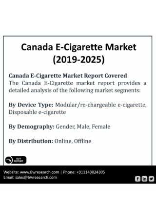 Canada E-Cigarette Market (2019-2025)