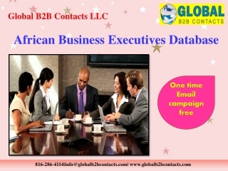African Business Executives Database
