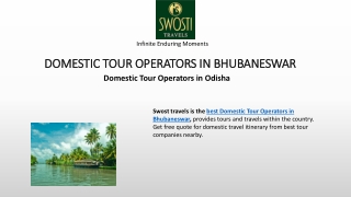 Domestic Tour Operators in Bhubaneswar - Swosti Travels