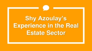 Shy Azoulay’s Experience in the Real Estate Sector