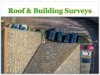 Roof & Building Surveys