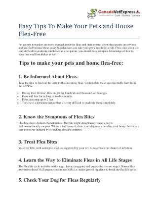 Easy Tips To Make Your Pets and House Flea-Free