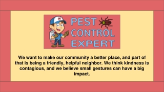 Pest Control Company - Pest Control Expert