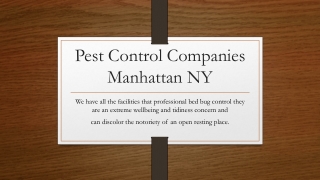 Bed Bugs Control Company Near Me Manhattan NY