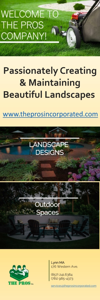 Best landscaping company in North Shore