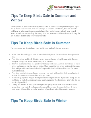 Tips To Keep Birds Safe in Summer and Winter