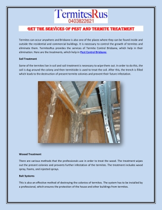 Get the Services of Pest and Termite Treatment