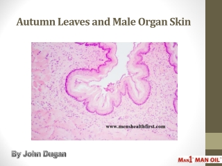 Autumn Leaves and Male Organ Skin