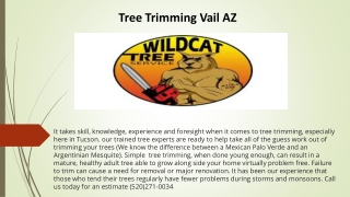 Tree Trimming Vail AZ