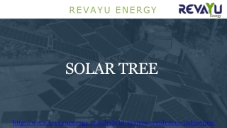 Solar Tree - Revayu Energy