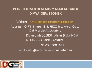 Petrified Wood Slabs Manufacturer Divya Gem Stonex