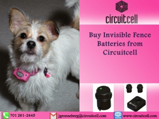 Buy Invisible Fence Batteries from Circuitcell