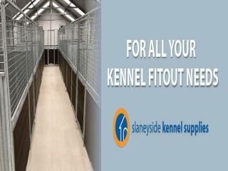 Dog Run & Dog Kennel Specialists | Slaneyside Kennels