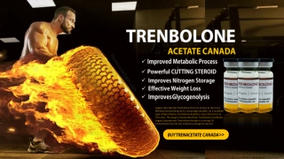 Buy Trenbolone Acetate Canada