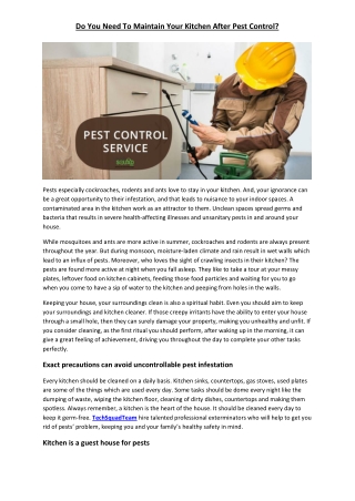 Do You Need To Maintain Your Kitchen After Pest Control?