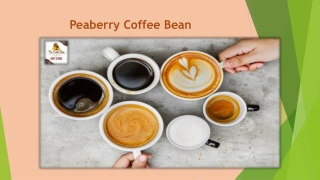 Peaberry Coffee Bean