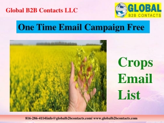 Crops Email List