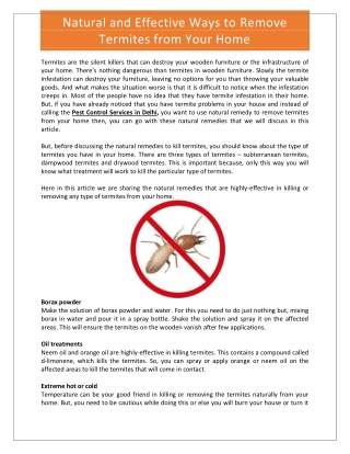 Natural and Effective Ways to Remove Termites from Your Home