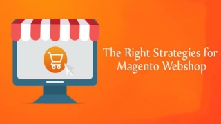 Strategies for Magento Webshop