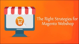 Strategies for Magento Webshop