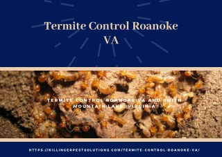 Termite Control Roanoke VA