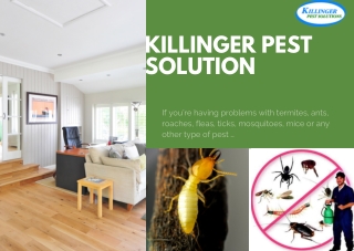 Killinger Pest Solutions